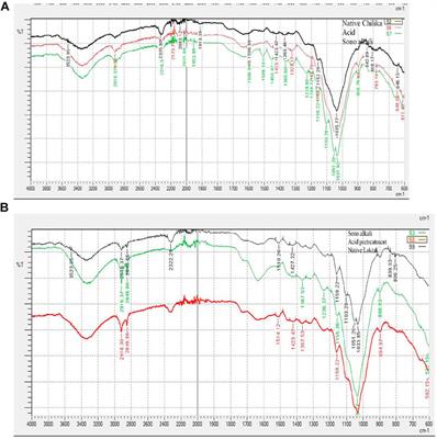 Sono-Assisted Alkali and Dilute Acid Pretreatment of Phragmites karka (Tall Reed Grass) to Enhance Enzymatic Digestibility for Bioethanol Conversion